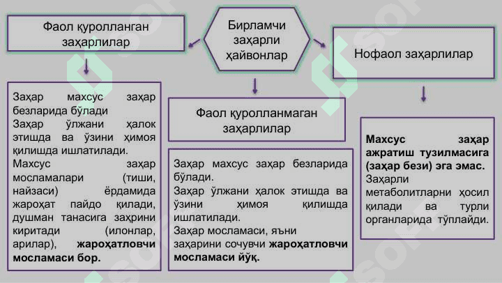 Одам ва заҳарли ҳайвонлар 6