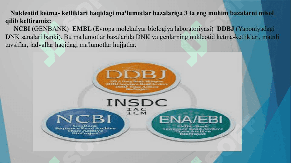 Nukleotidlar ketma - ketliklari ma’lumotlar bazalari. 8