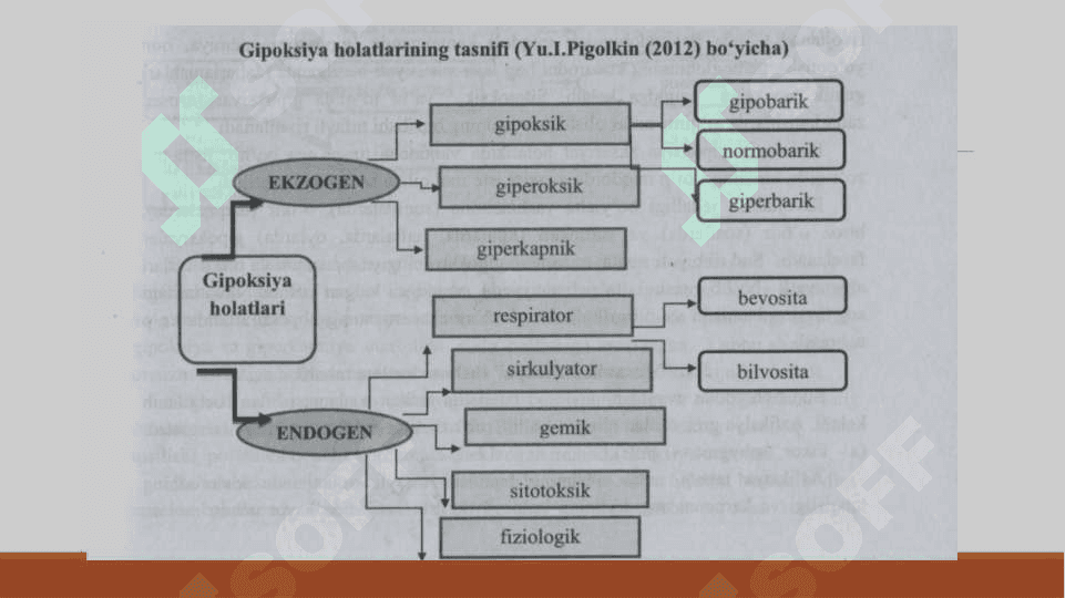 Yopiq muhitdagi asfiksiya 3