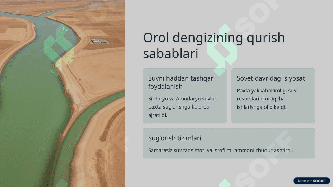 Orol dengizi muammosi 2