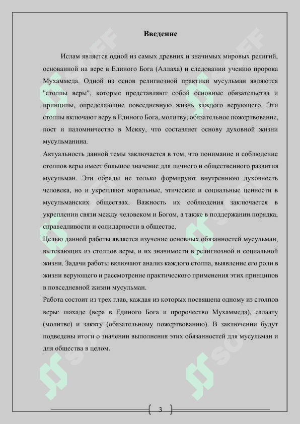 Основные обязанности мусульман согласно "столпам веры" в исламе 3
