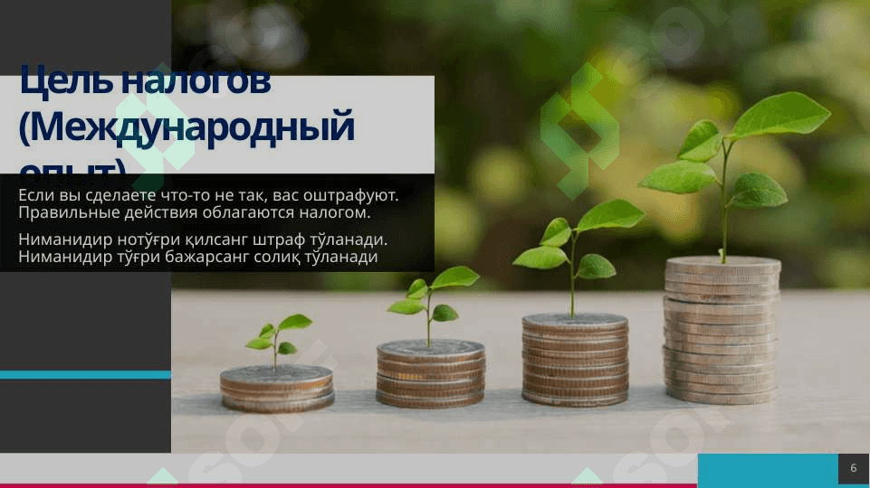 НАЛОГИ 6