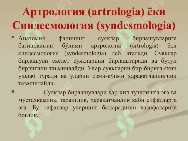 Бирлашувлар.Тана суякларини бирлашуви ва уларнинг болалардаги хусусиятлари. Калла суякларининг бирлашуви. Чакка-пастки жағ бўғими 2