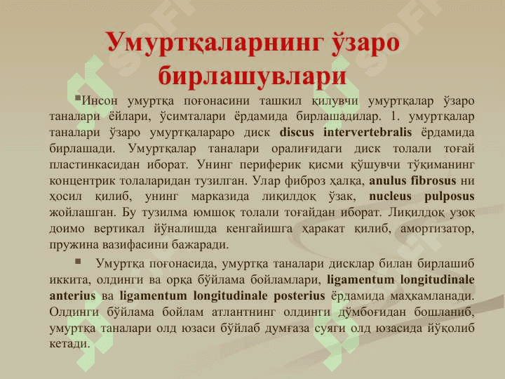 Бирлашувлар.Тана суякларини бирлашуви ва уларнинг болалардаги хусусиятлари. Калла суякларининг бирлашуви. Чакка-пастки жағ бўғими 5