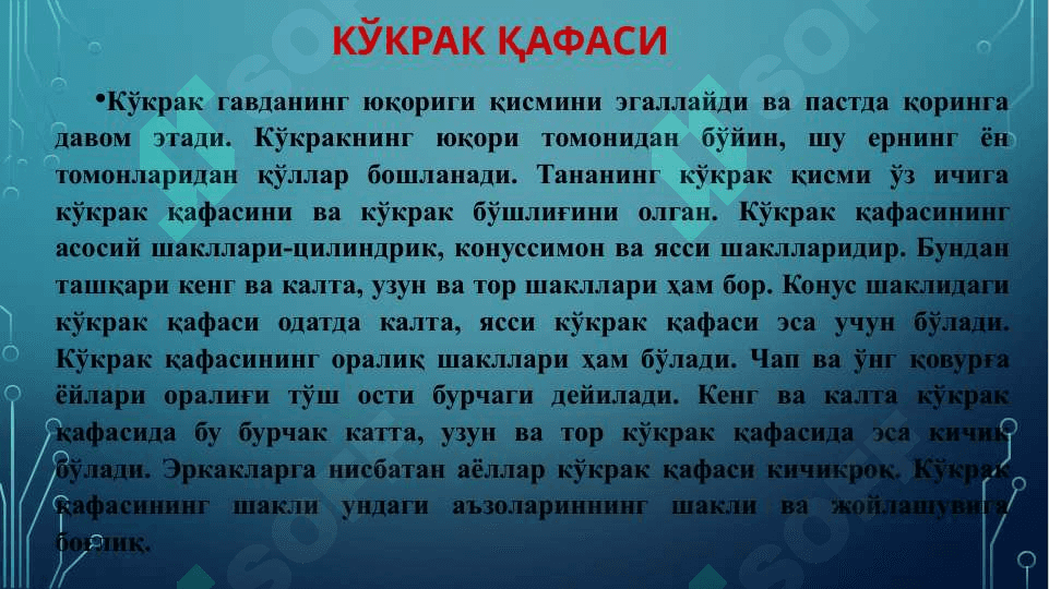 Кўкрак қафаси суяклари.   Қовурғалар, тўш суяги ва кўкрак кафаси, уларнинг ёшга доир хусусиятлари 2