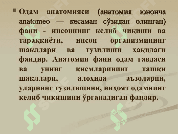Анатомия фанига кириш. Умумий остеология. Скелет ҳақида умумий тушунча. Сатхлар ҳақида тушунча. Анатомик терминология. Суякларнинг тузилиши ва таснифи. Бўйин, кўкрак, бел ва думғаза умуртқалари. 4
