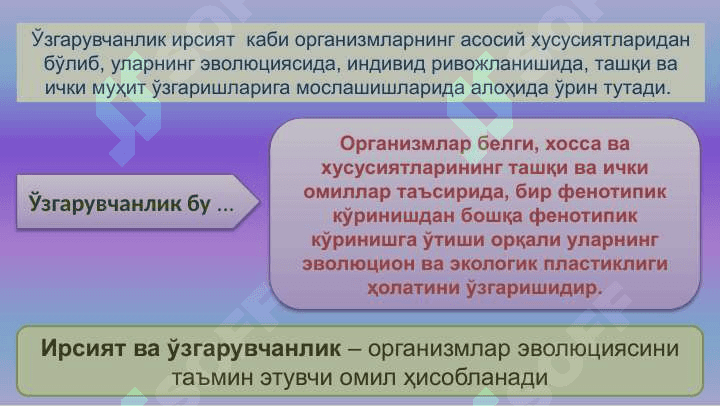 Ўзгарувчанлик: хиллари  ва тиббиётдаги роли 4