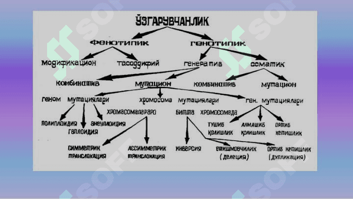 Ўзгарувчанлик: хиллари  ва тиббиётдаги роли 5