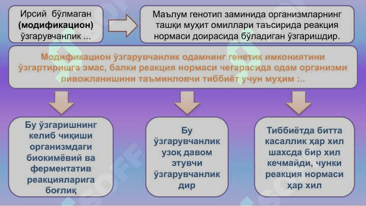 Ўзгарувчанлик: хиллари  ва тиббиётдаги роли 6