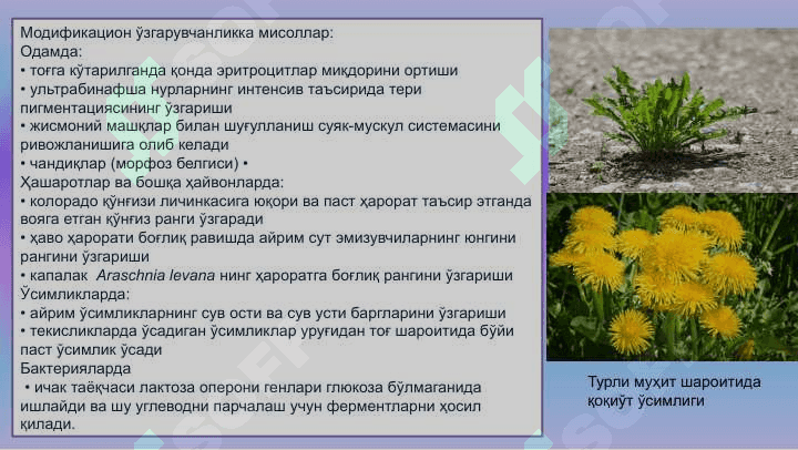 Ўзгарувчанлик: хиллари  ва тиббиётдаги роли 7