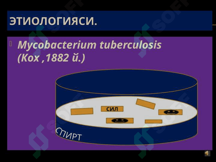 ТЕРИ СИЛИ (TuBerkulosis cutis) 2