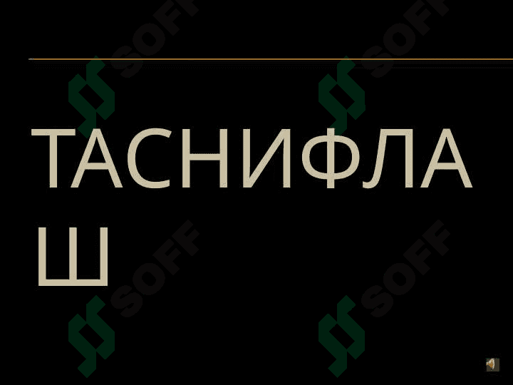 ТЕРИ СИЛИ (TuBerkulosis cutis) 6