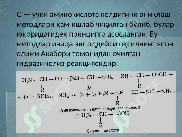 Oqsil strukturalari Оксил  структуралари 8