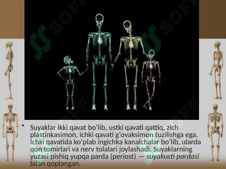 Suyaklarning tuzilishi va o‘sishi 3
