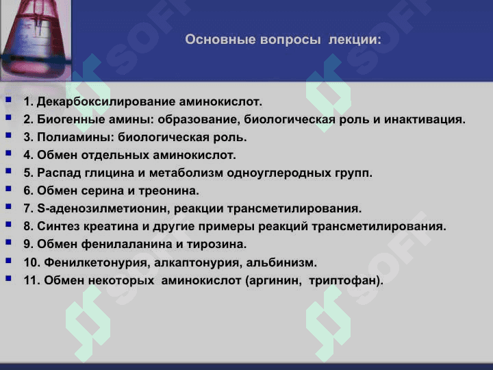 Обмен аминокислот 2