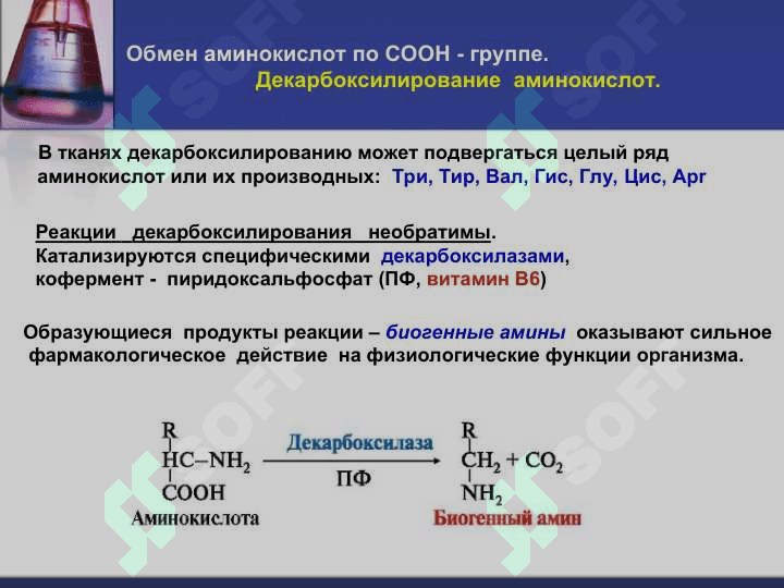 Обмен аминокислот 3