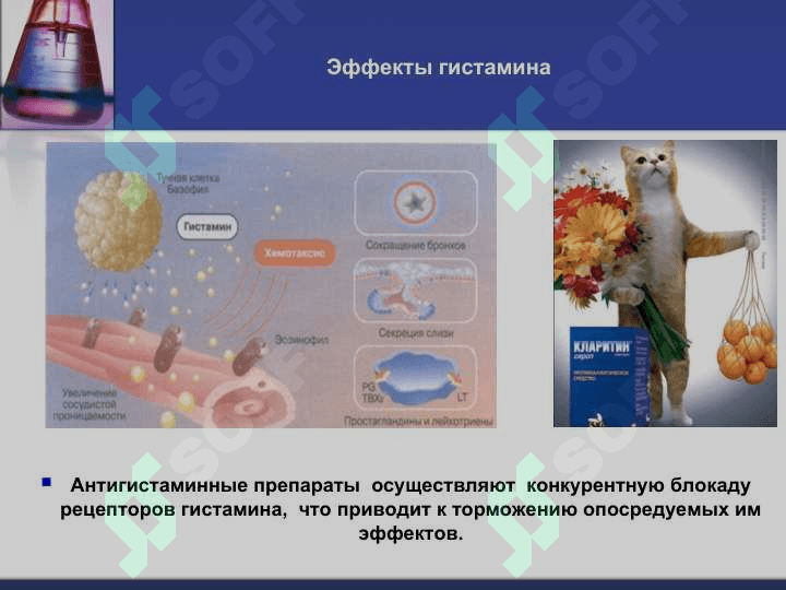Обмен аминокислот 5