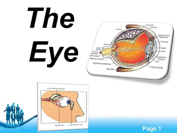 The Eyes 1