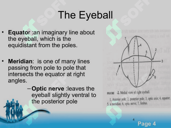 The Eyes 4