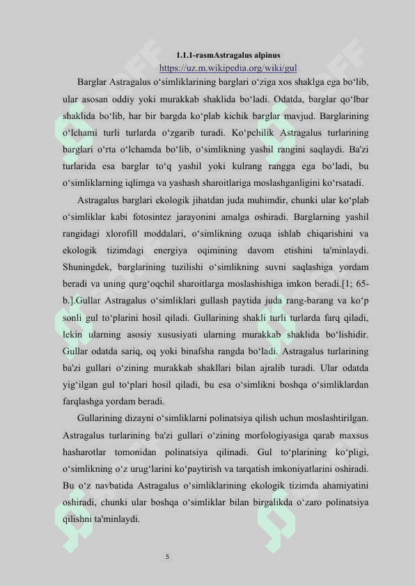 O‘zbekiston qizil kitobiga kiritilgan Astragal turkumi turlarining tasnifi  kurs ishi 7