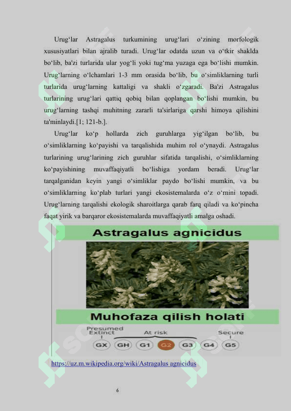 O‘zbekiston qizil kitobiga kiritilgan Astragal turkumi turlarining tasnifi  kurs ishi 8
