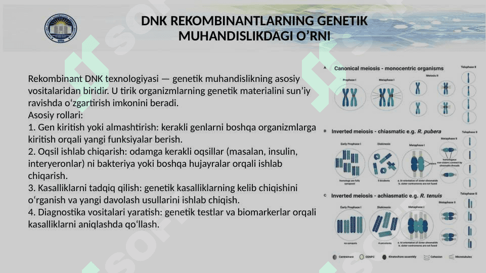 TIBBIYOTDA DNK REKOMBINANTLARNI QO'LLANILISHI. 4