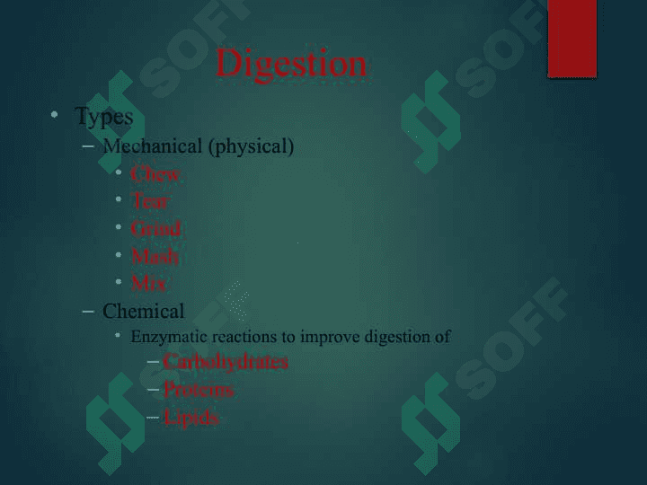 DIGESTIVE SYSTEM 3