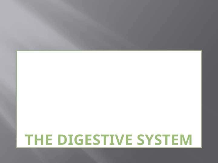 The digestive system