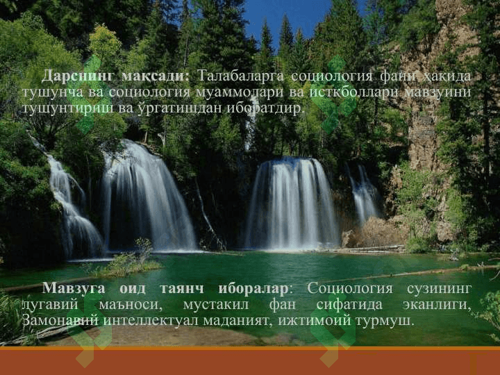 Жамиятда социологик муаммолар 2