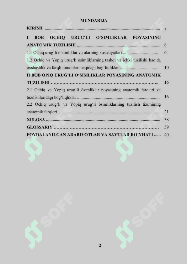 Ochiq urugʻli va yopiq urugʻli oʻsimliklar poyasining anatomik tuzilishidagi oʻziga xos xususiyatlari 2