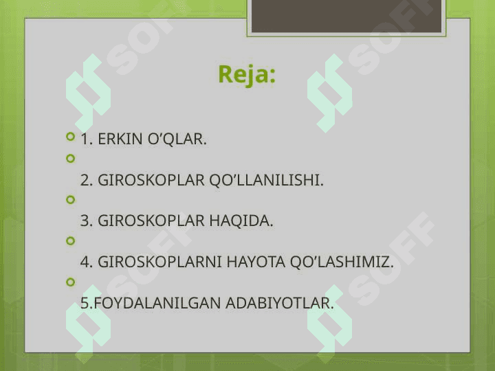 Erkin o’qlar 2