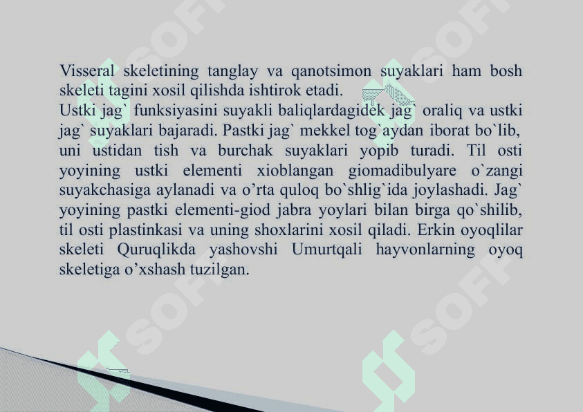 Suvda hamda  quriqlikda  yashovchilar sinfi 7