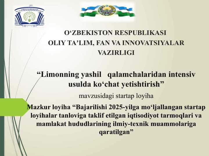Limonning yashil   qalamchalaridan intensiv usulda ko‘chat yetishtirish