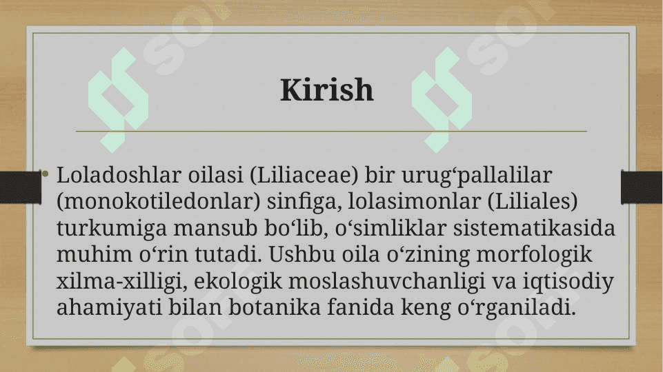 Lolanamolar qabilasi 2