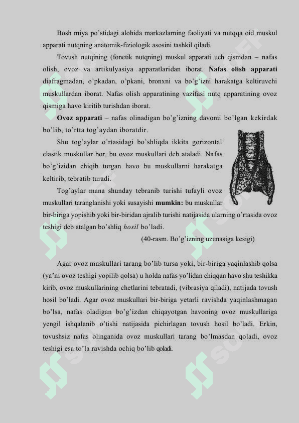 TIL, ONG VA TAFAKKUR 6