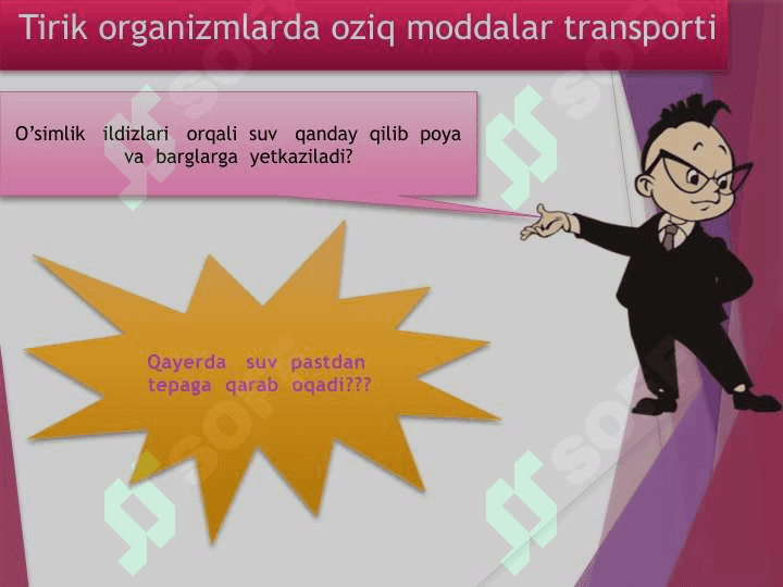 Tirik organizmlarda oziq moddalar transporti 4