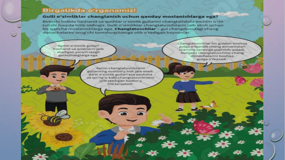 Gulli o'simliklarning moslanishi 4