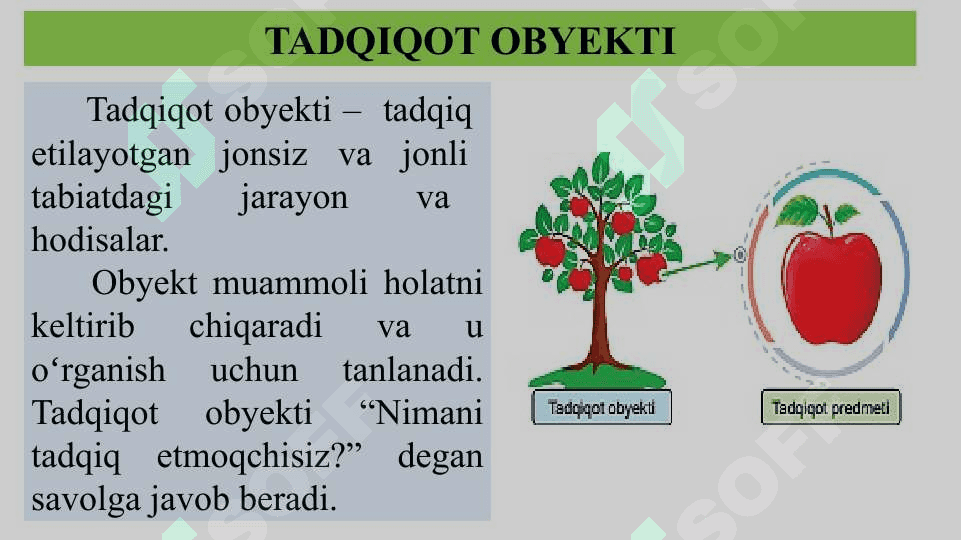 Tabiiy fanlarning tadqiqot obyekti 3