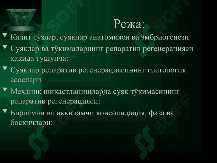 Суяк тўқимасининг  РЕГЕНЕРАЦИЯСИ 2
