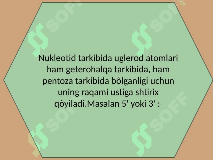 Nukleozidlar. Nukleotidlar. Nukleozidlarning mono- va polifosfatlari. Nukleotid tabiatli kofermentlar. 8