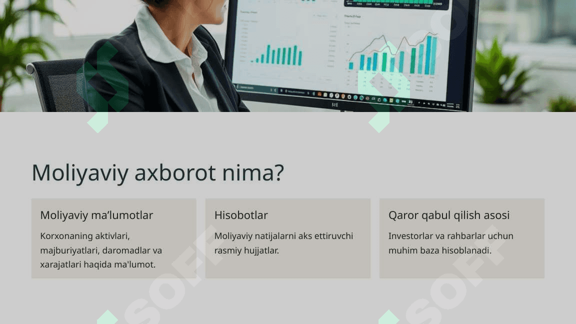 Moliyaviy axborotlarning umumiy tavsifi 2