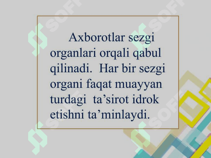 Sezgi organlari 4