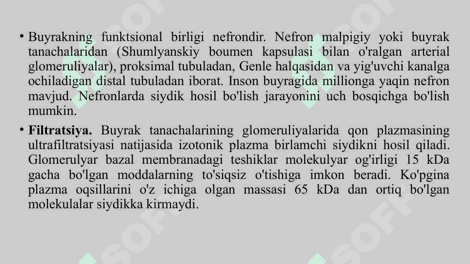 Buyrak biokimyosi pptx 3