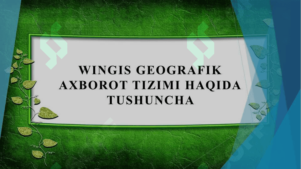 WinGis geografik axborot tizimi haqida tushuncha 2