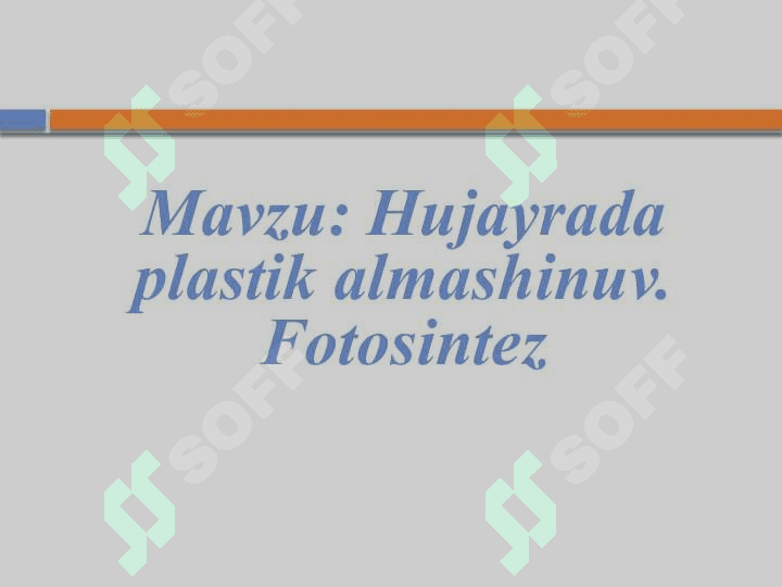 Hujayrada plastik almashinuv. Fotosintez 2