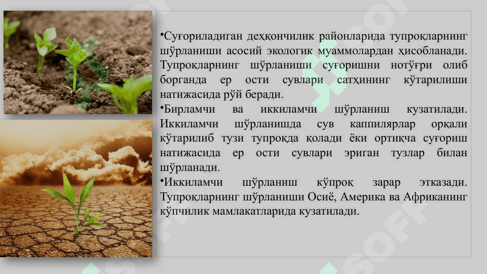 Қишлоқ хўжалик экологияси 6