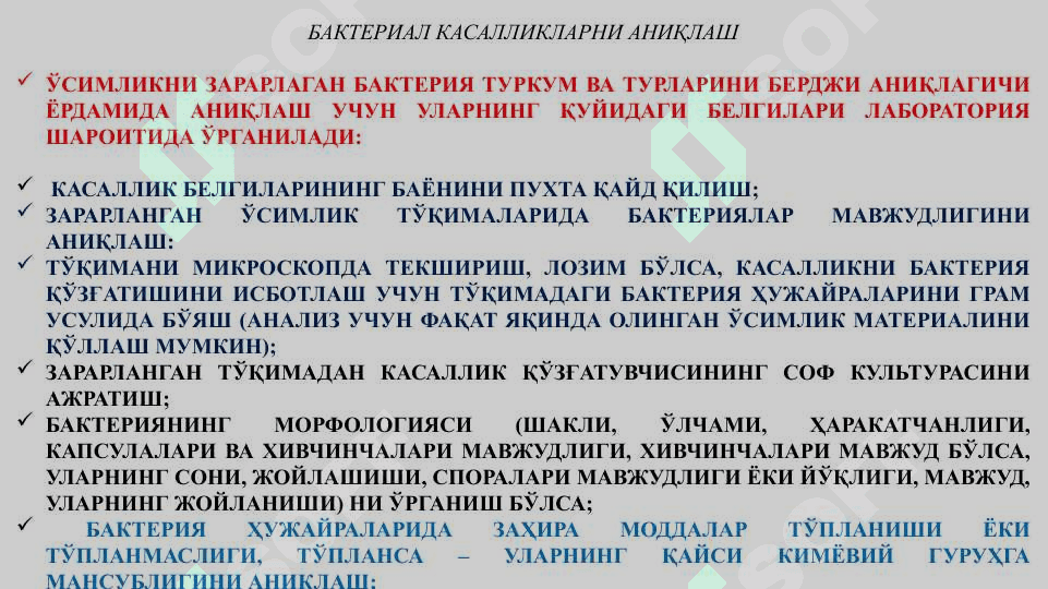 ЎСИМЛИК-ЛАРДА БАКТЕРИАЛ ҚЎЗҒАТАДИГАН КАСАЛЛИКЛАР НАТИЖАСИДА РЎЙ БЕРАДИГАН ФИЗИОЛОГИК ЎЗГАРИШЛАР 4