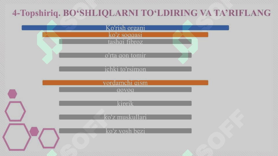 Eshitish organlarining tuzilishi, eshitish gigiyenasi 6