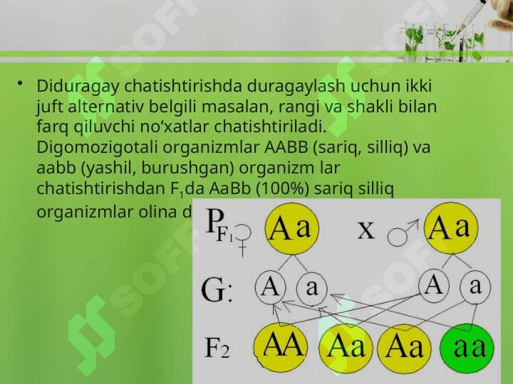 DIDURAGAY VA POLIDURAGAY CHATISHTIRISH. G.MENDELNING UCHINCHI QONUNI 2