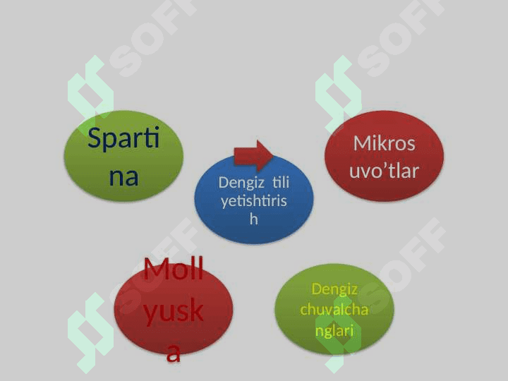 Barqaror  baliqchilik  xo’jaligi 6